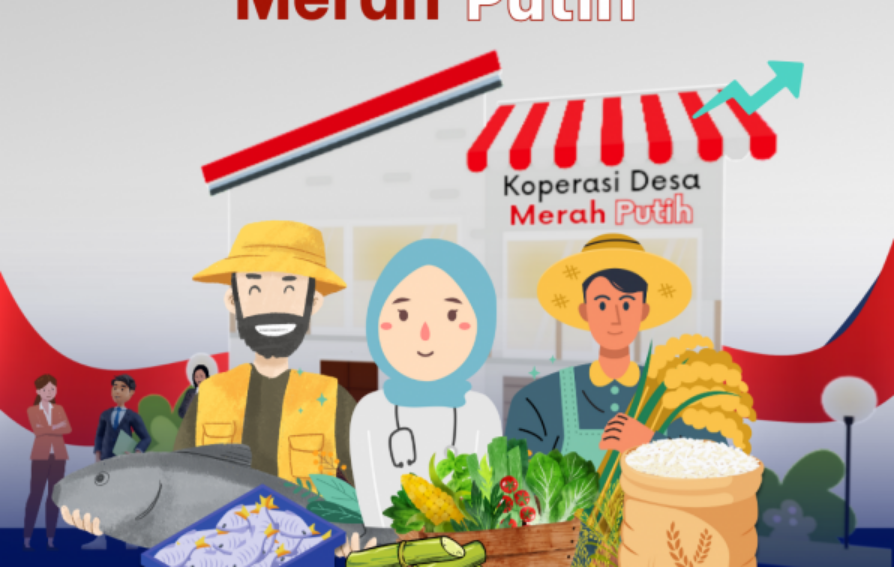 Tim Koperasi